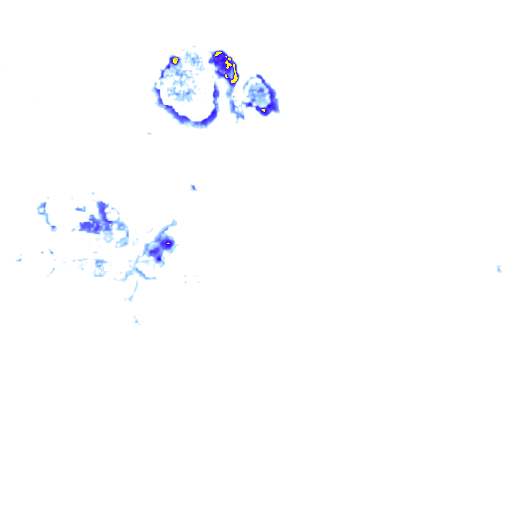 Image Layer