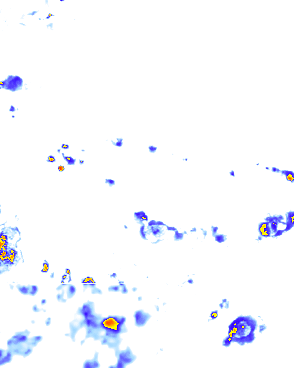 rainLayer