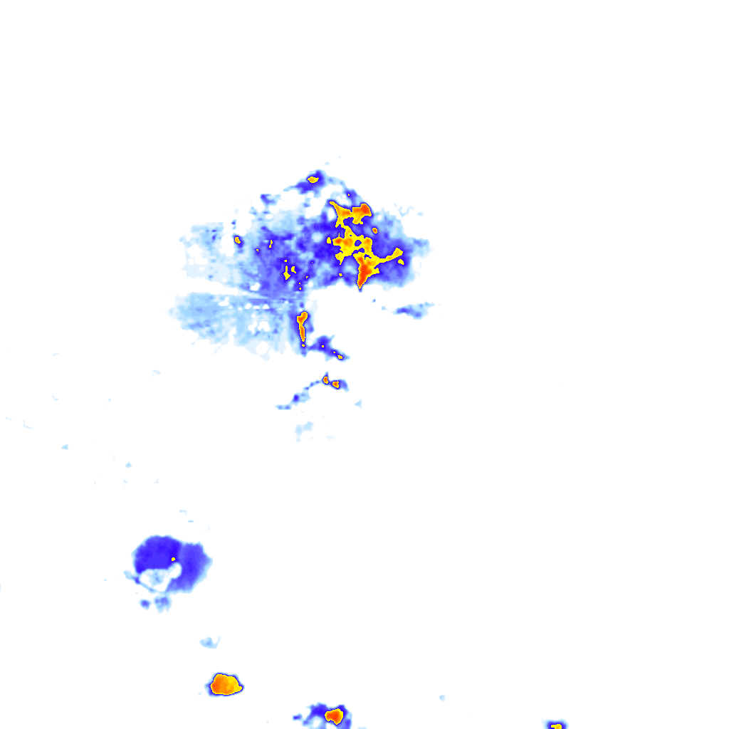 rainLayer