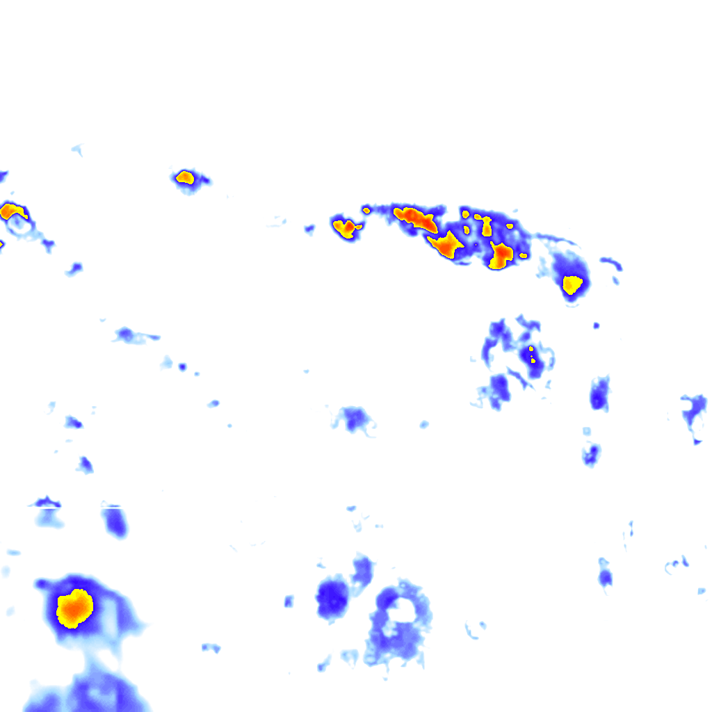 Image Layer