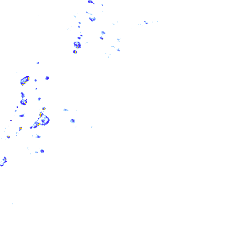rainLayer