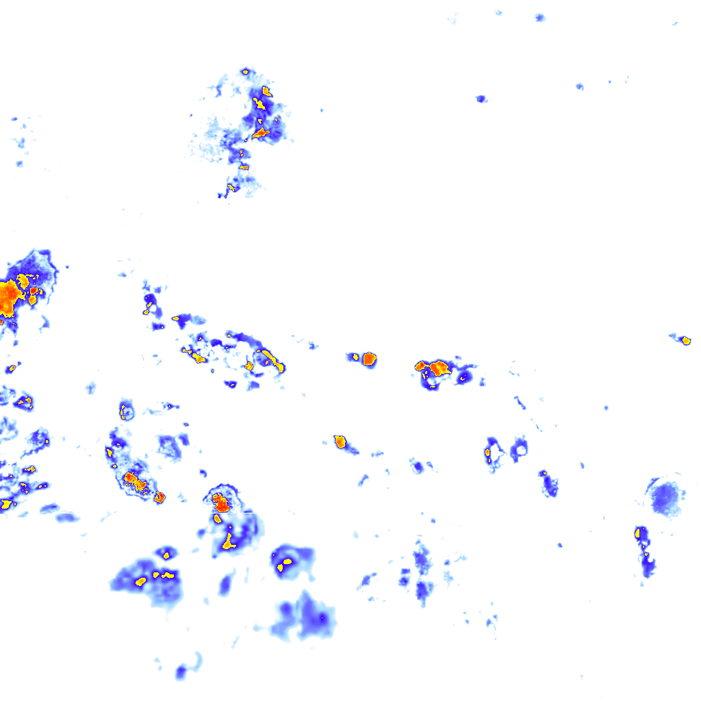 rainLayer