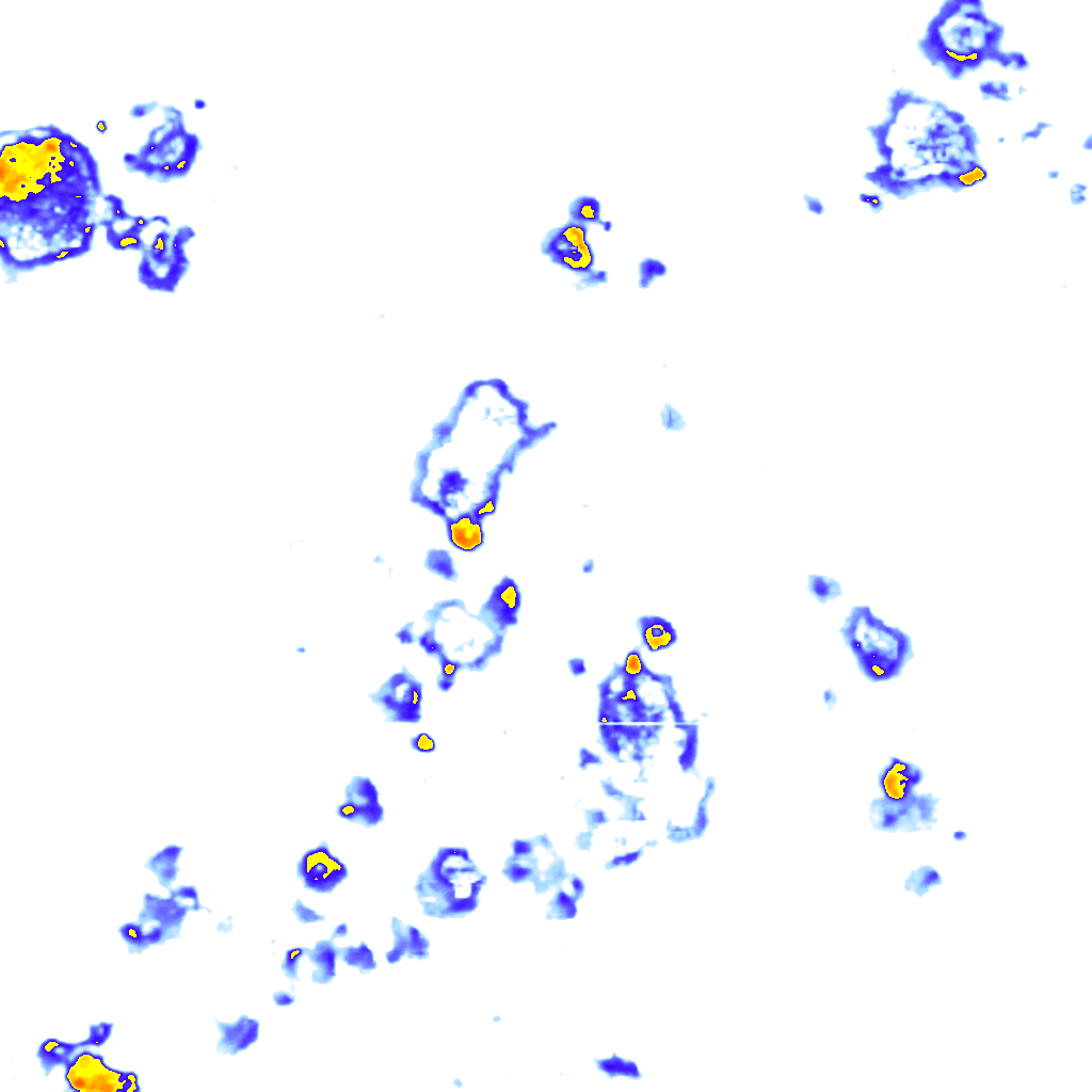 Image Layer