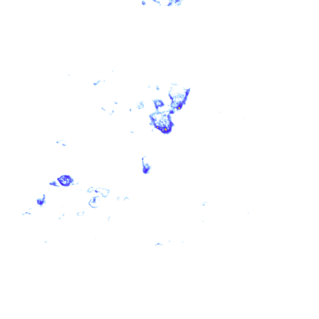 rainLayer