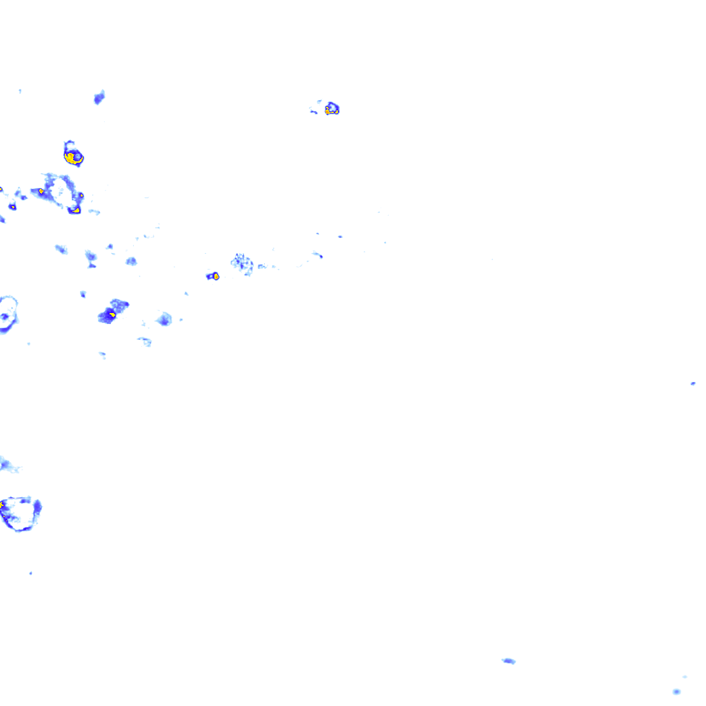 rainLayer