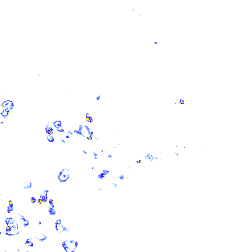 rainLayer