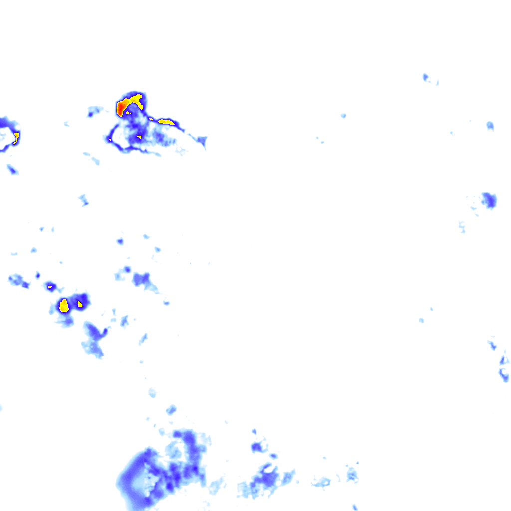 rainLayer