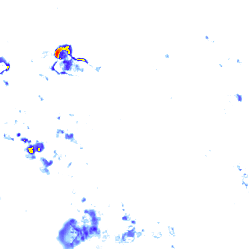 rainLayer