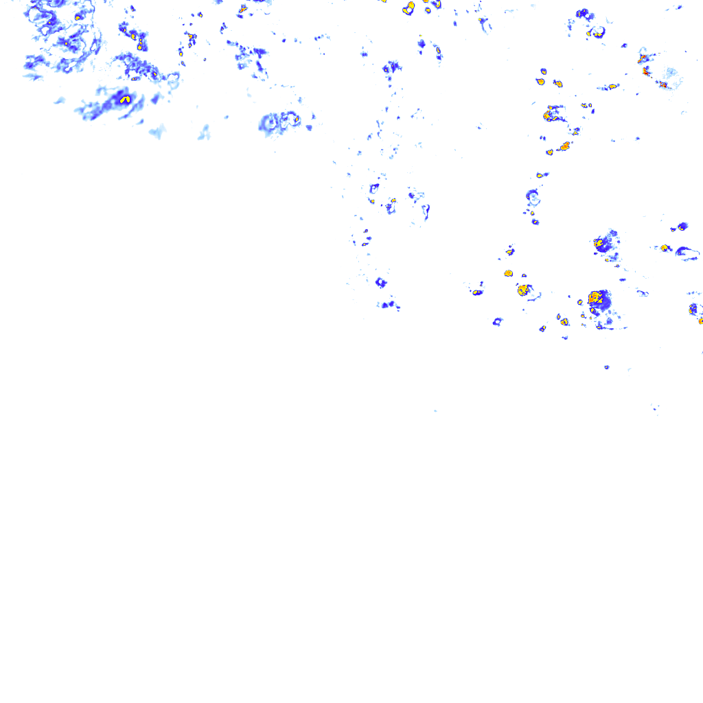 rainLayer