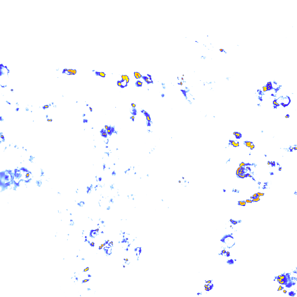rainLayer