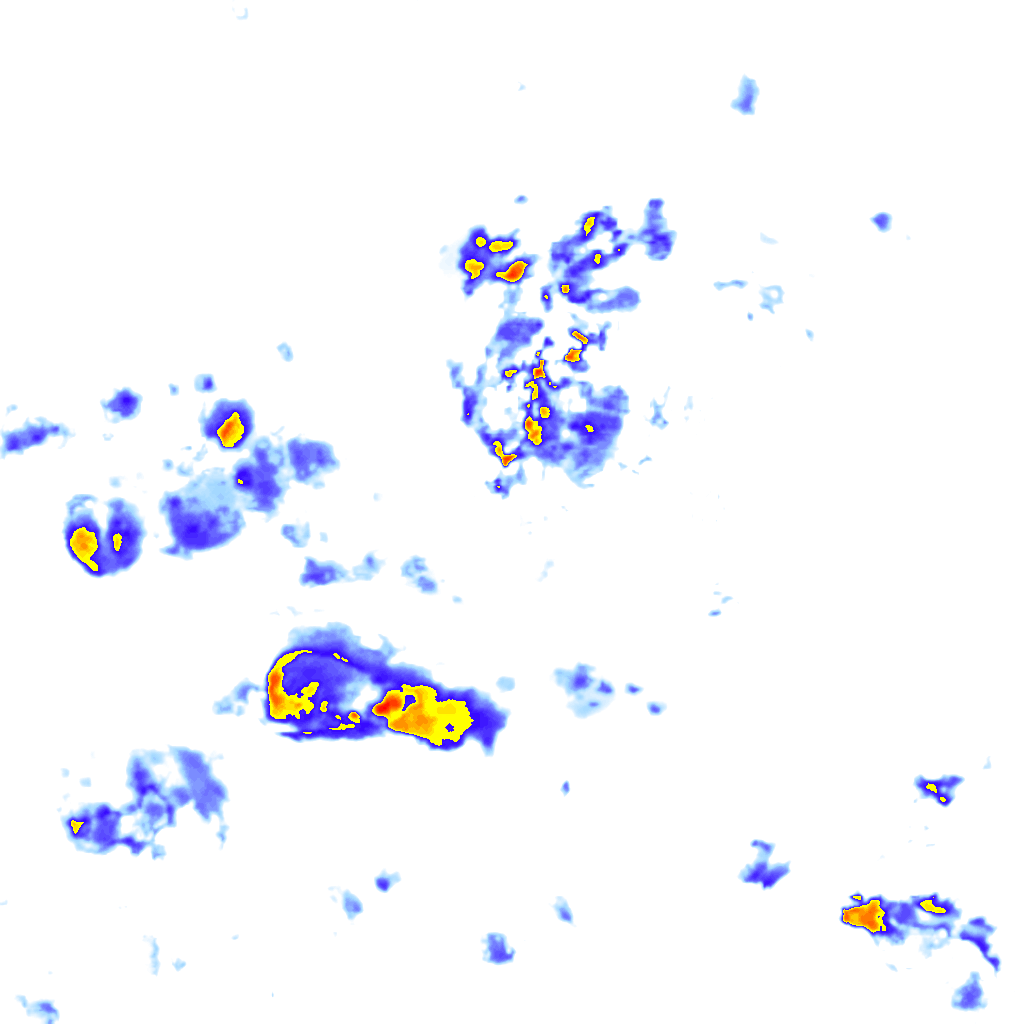 rainLayer