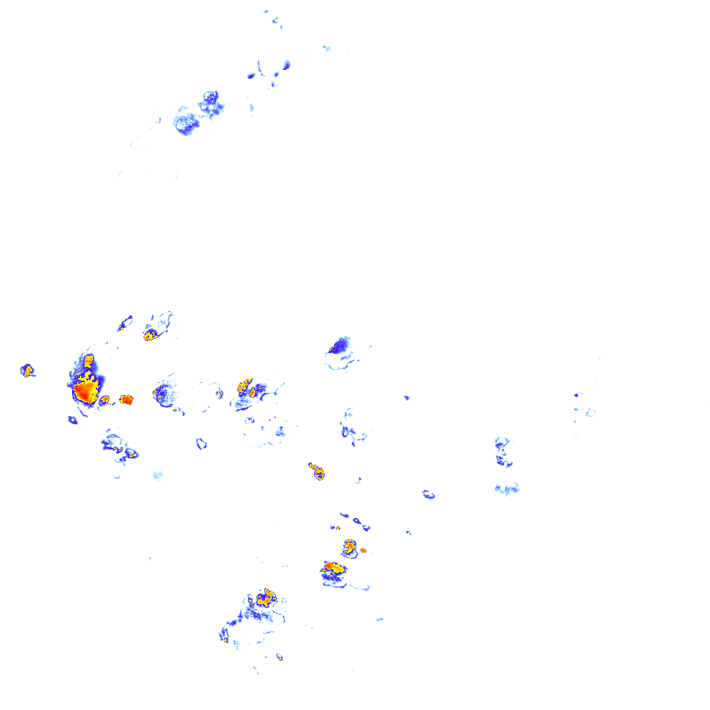 rainLayer