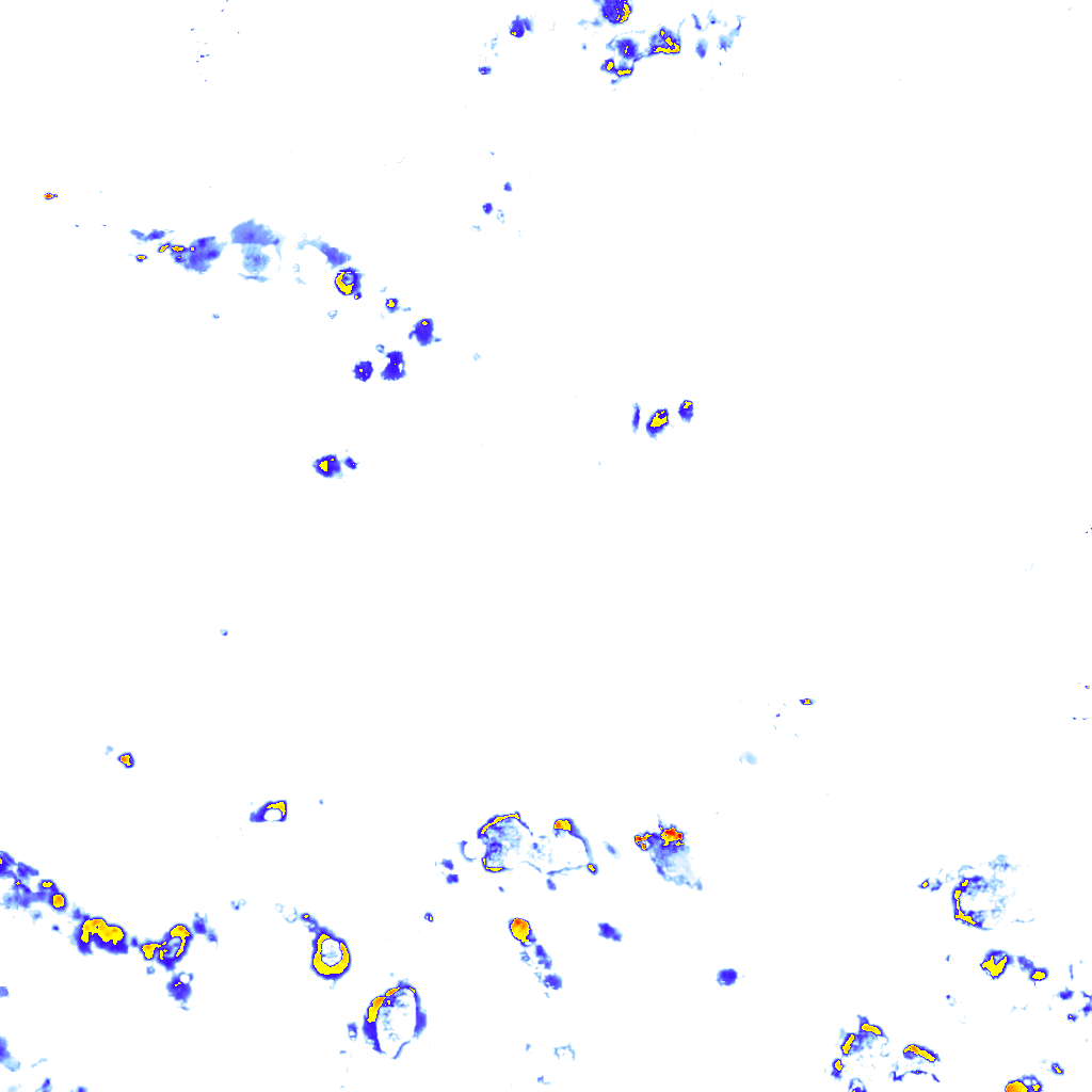 rainLayer
