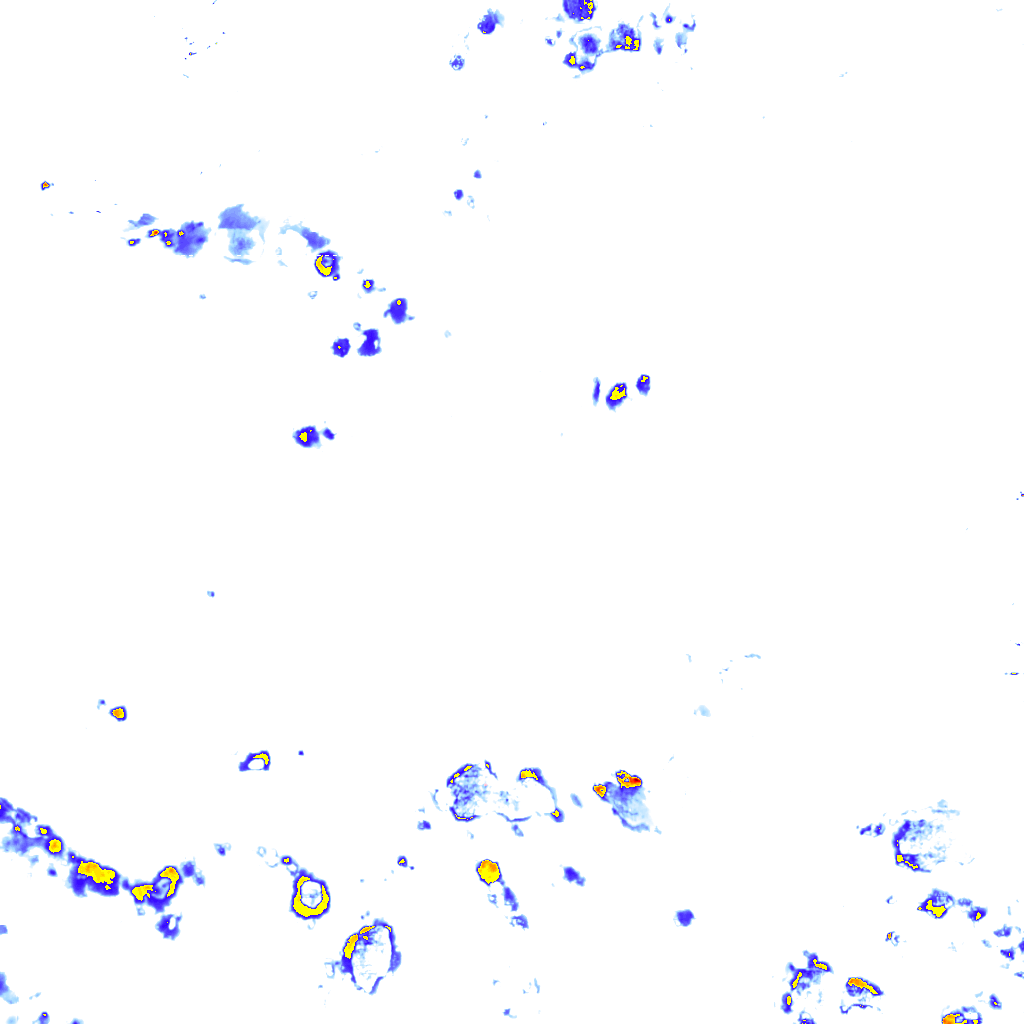 rainLayer