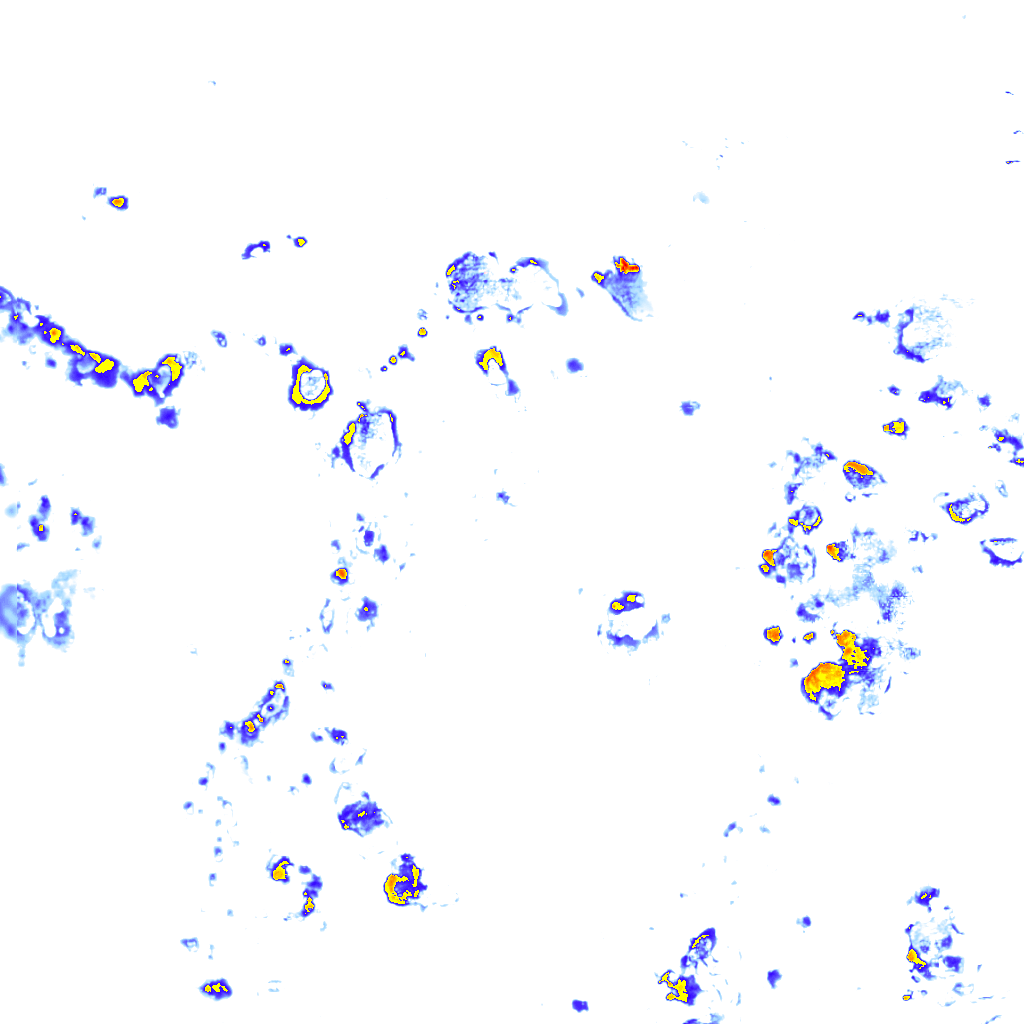rainLayer