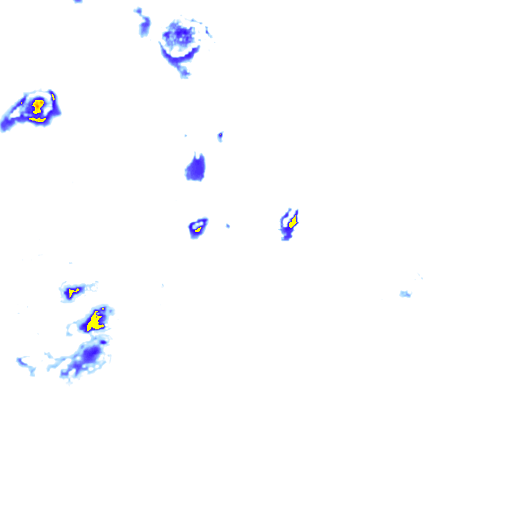 rainLayer