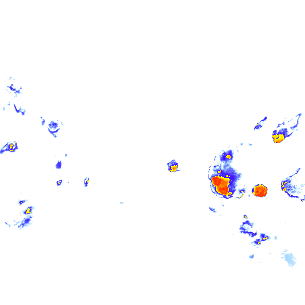 rainLayer