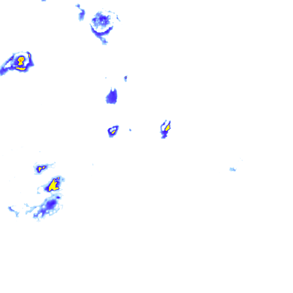 rainLayer