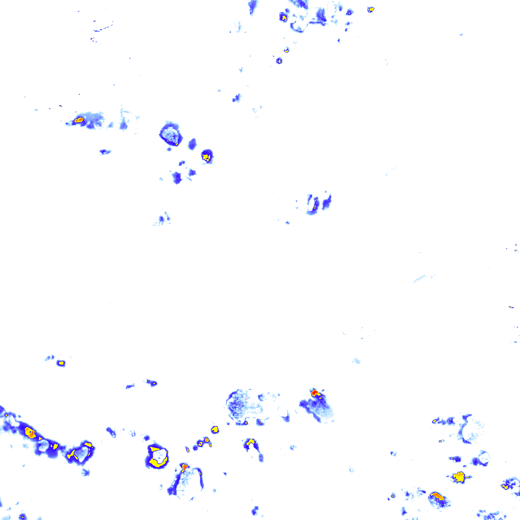 rainLayer