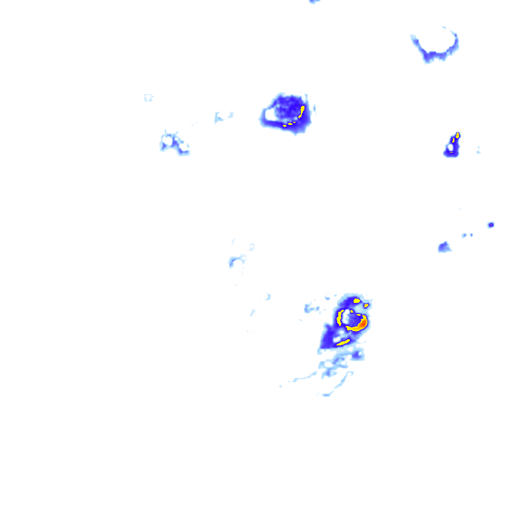 rainLayer