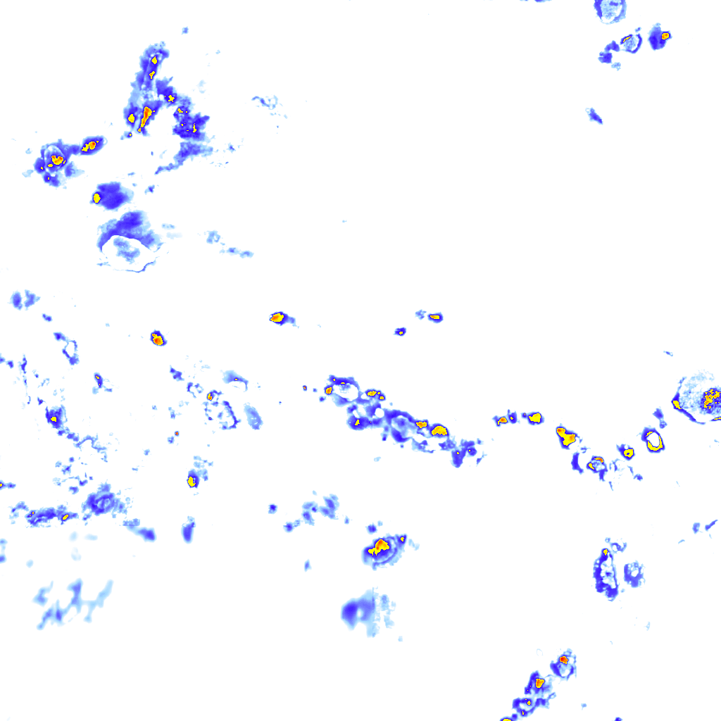 rainLayer