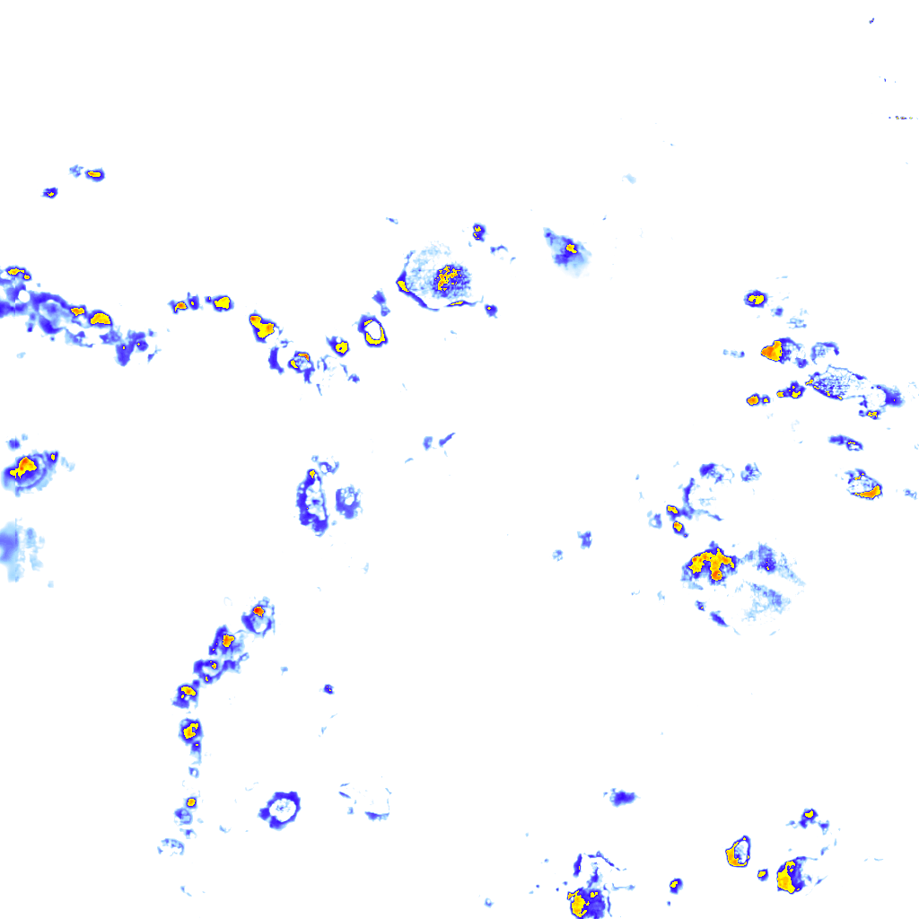 rainLayer