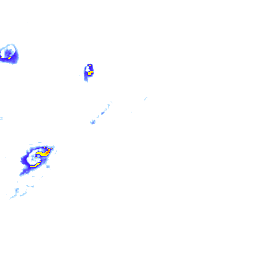 rainLayer