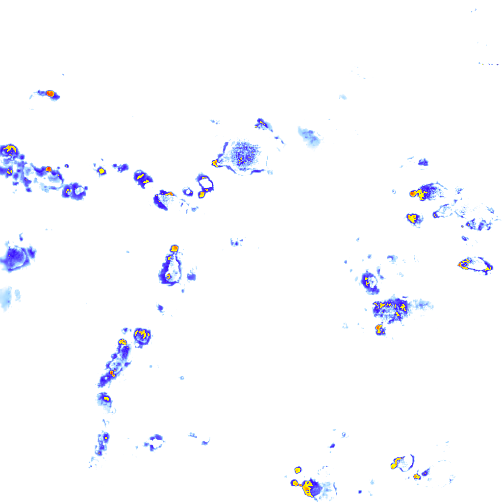 rainLayer