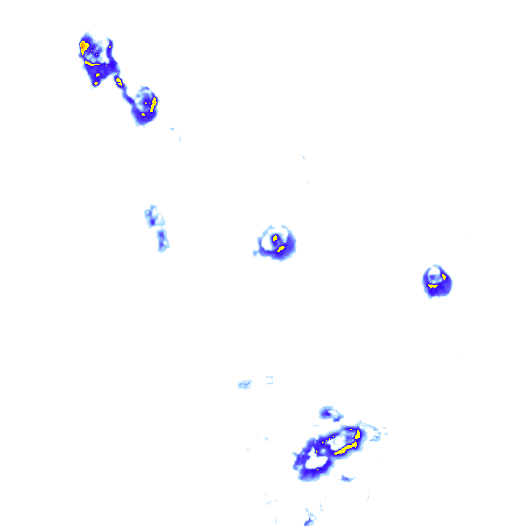 rainLayer