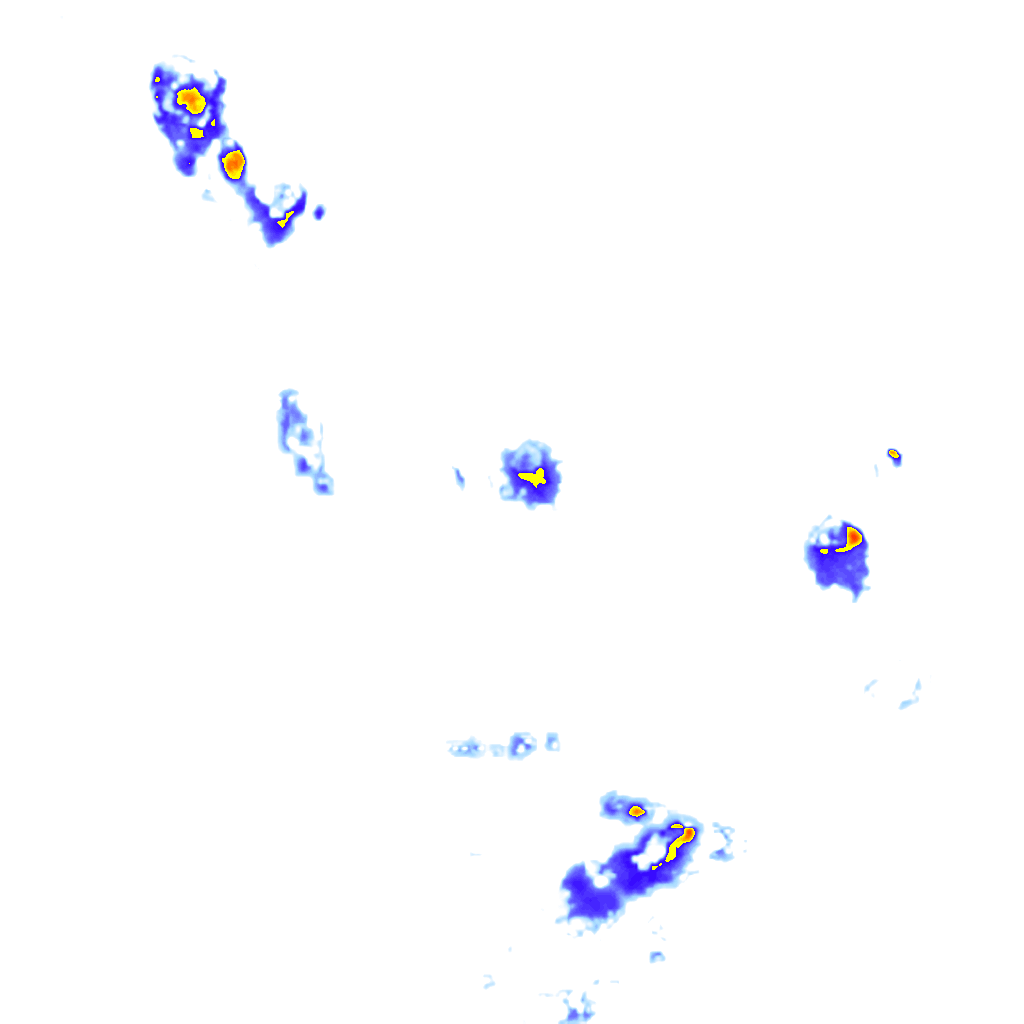 Image Layer