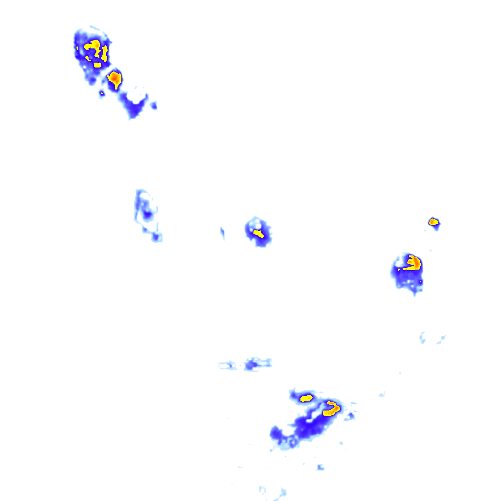 Image Layer