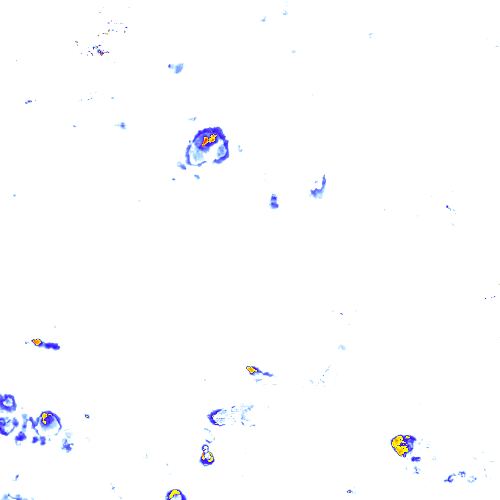 rainLayer
