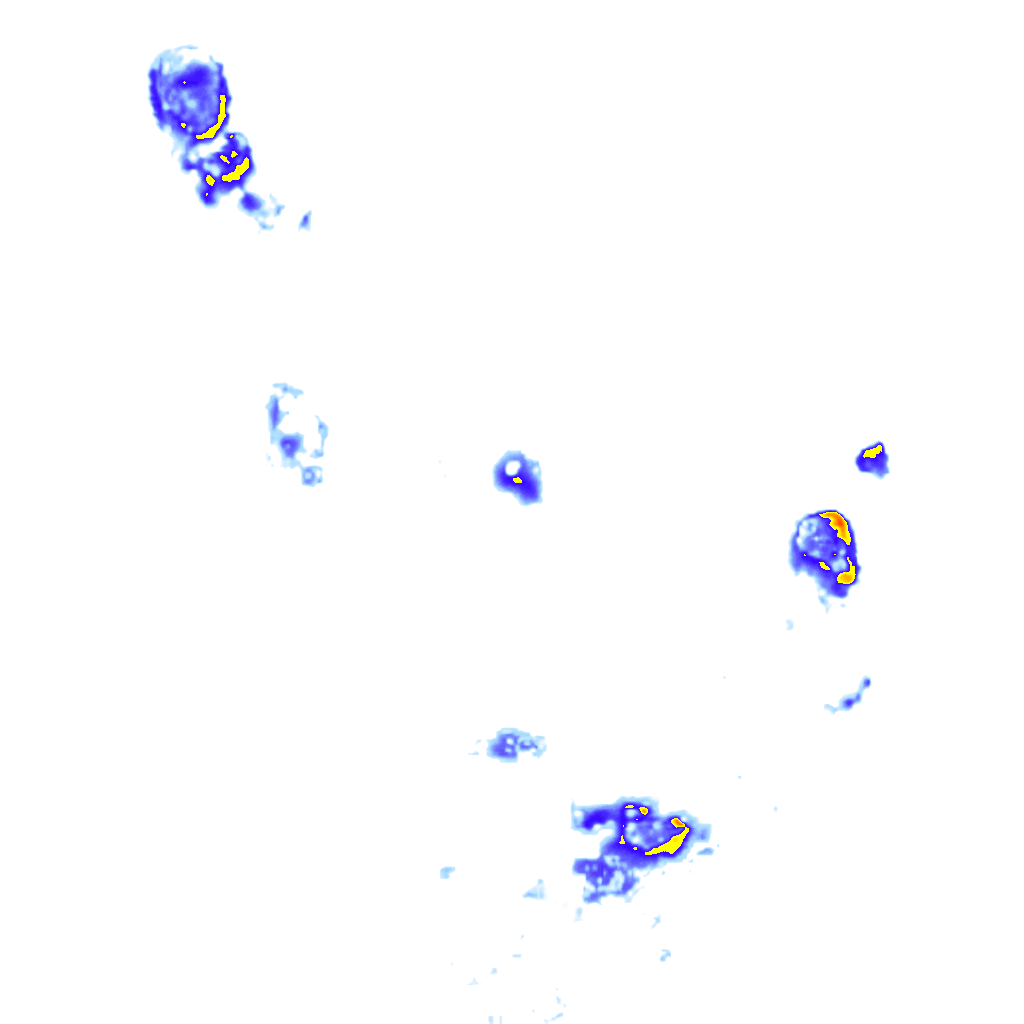rainLayer