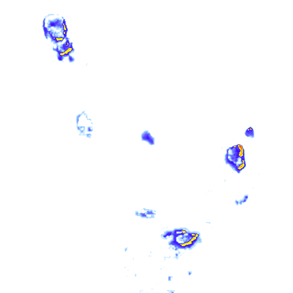 Image Layer
