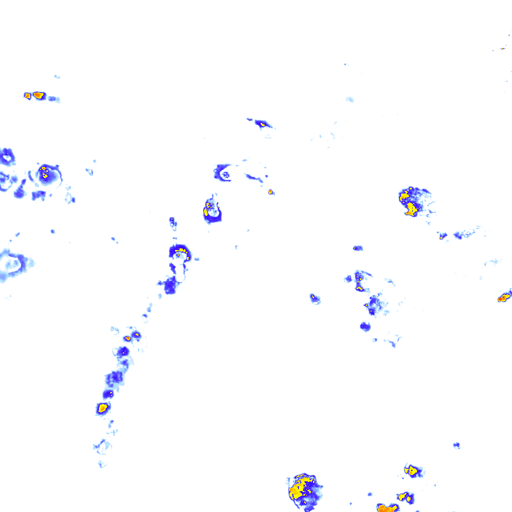rainLayer