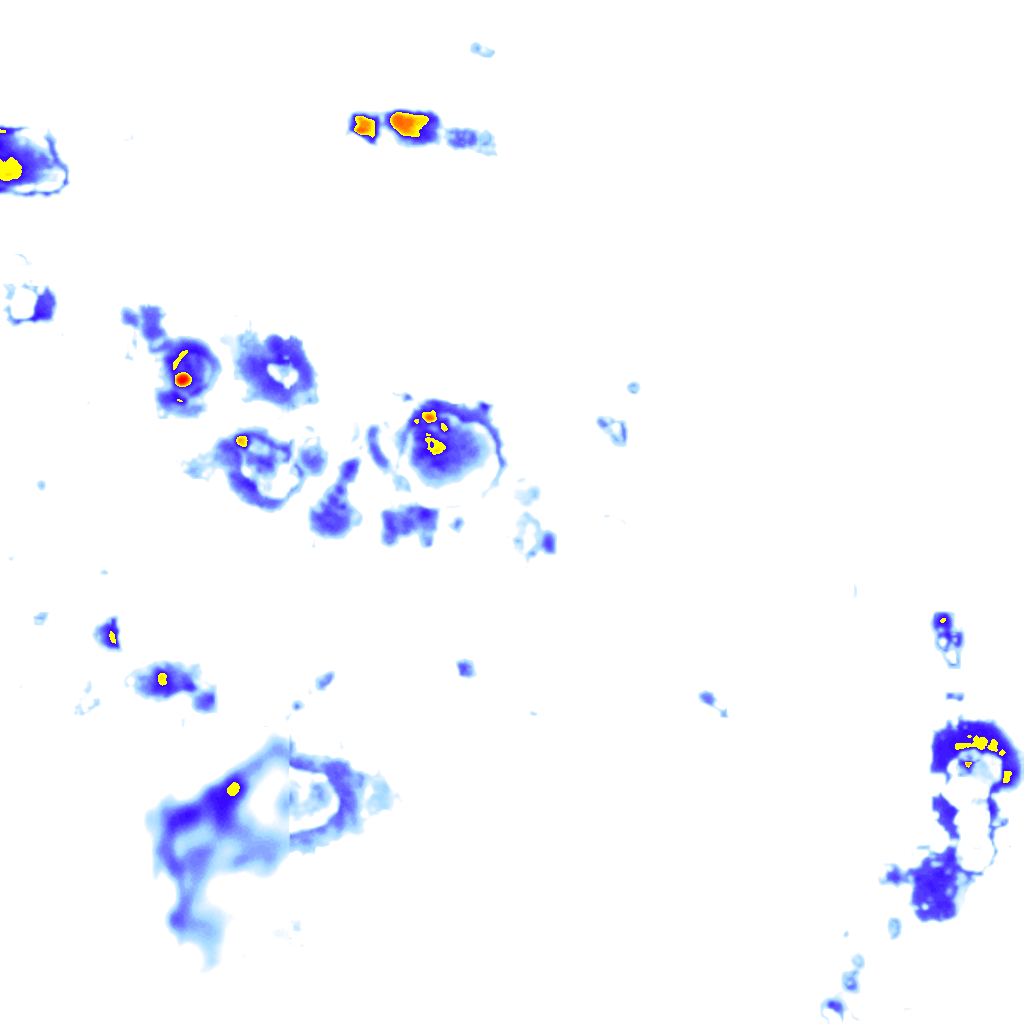 Image Layer