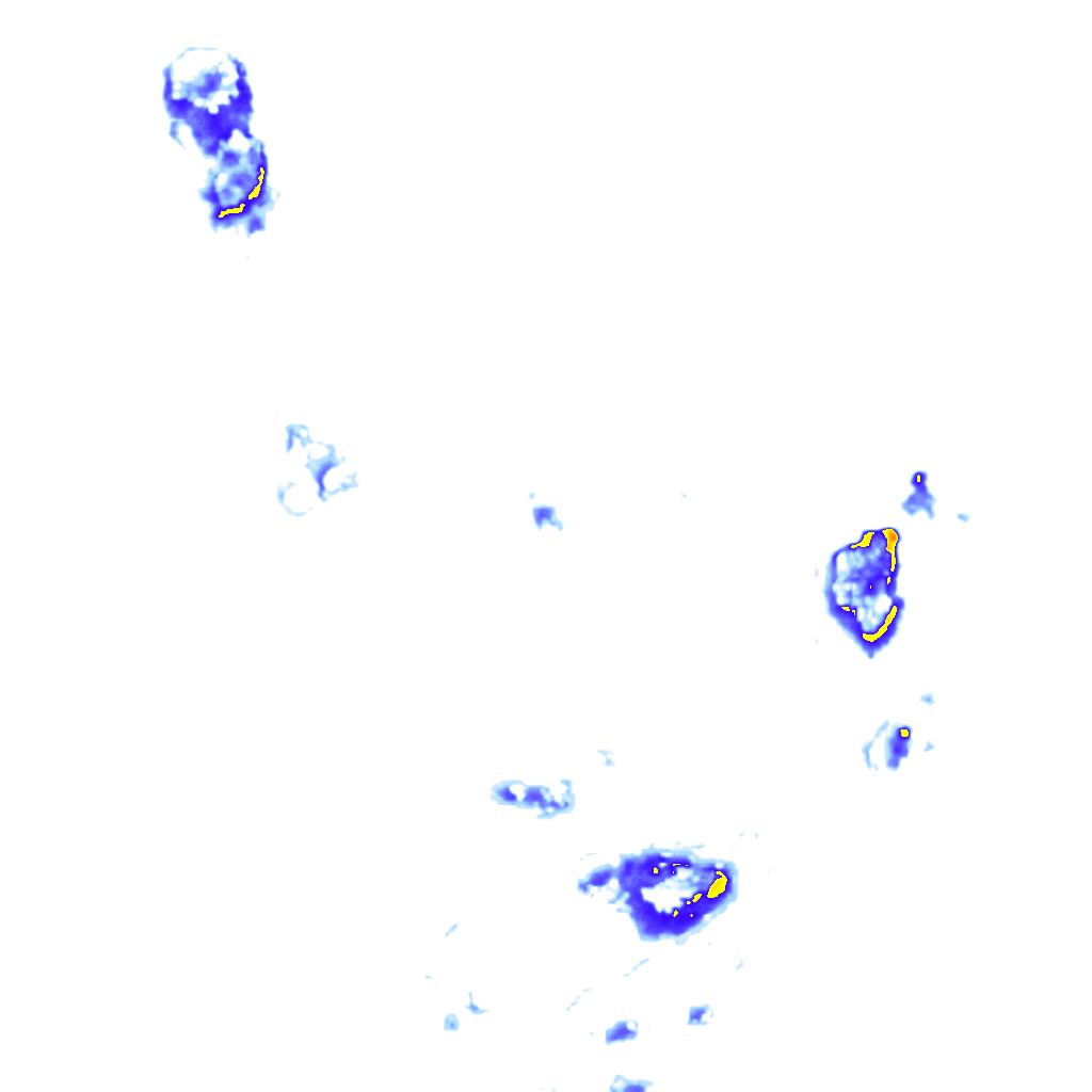 rainLayer