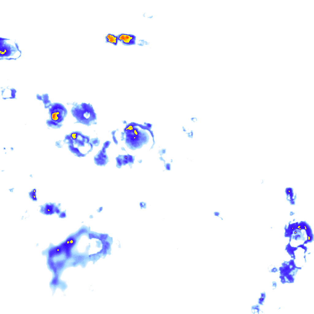 Image Layer
