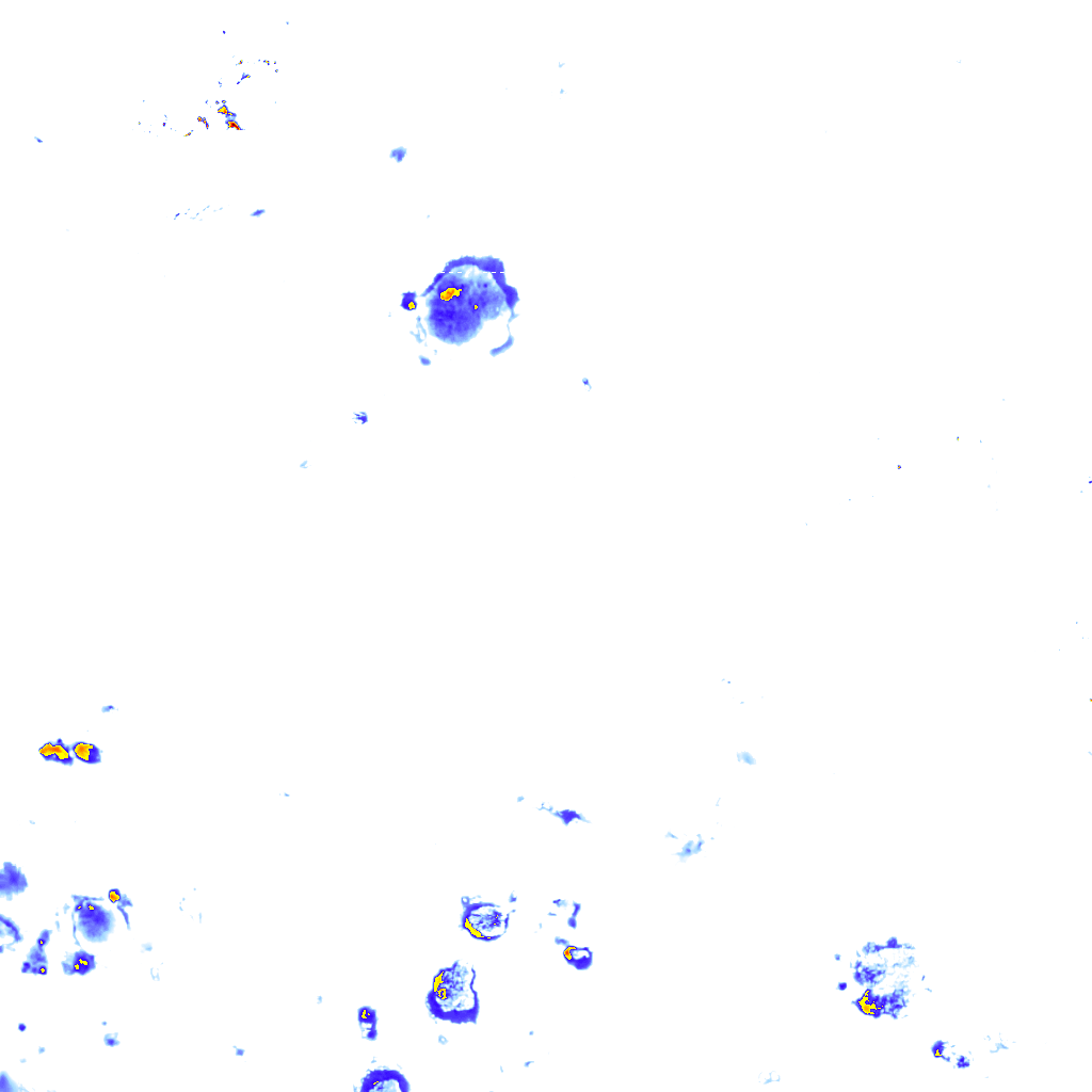 Image Layer