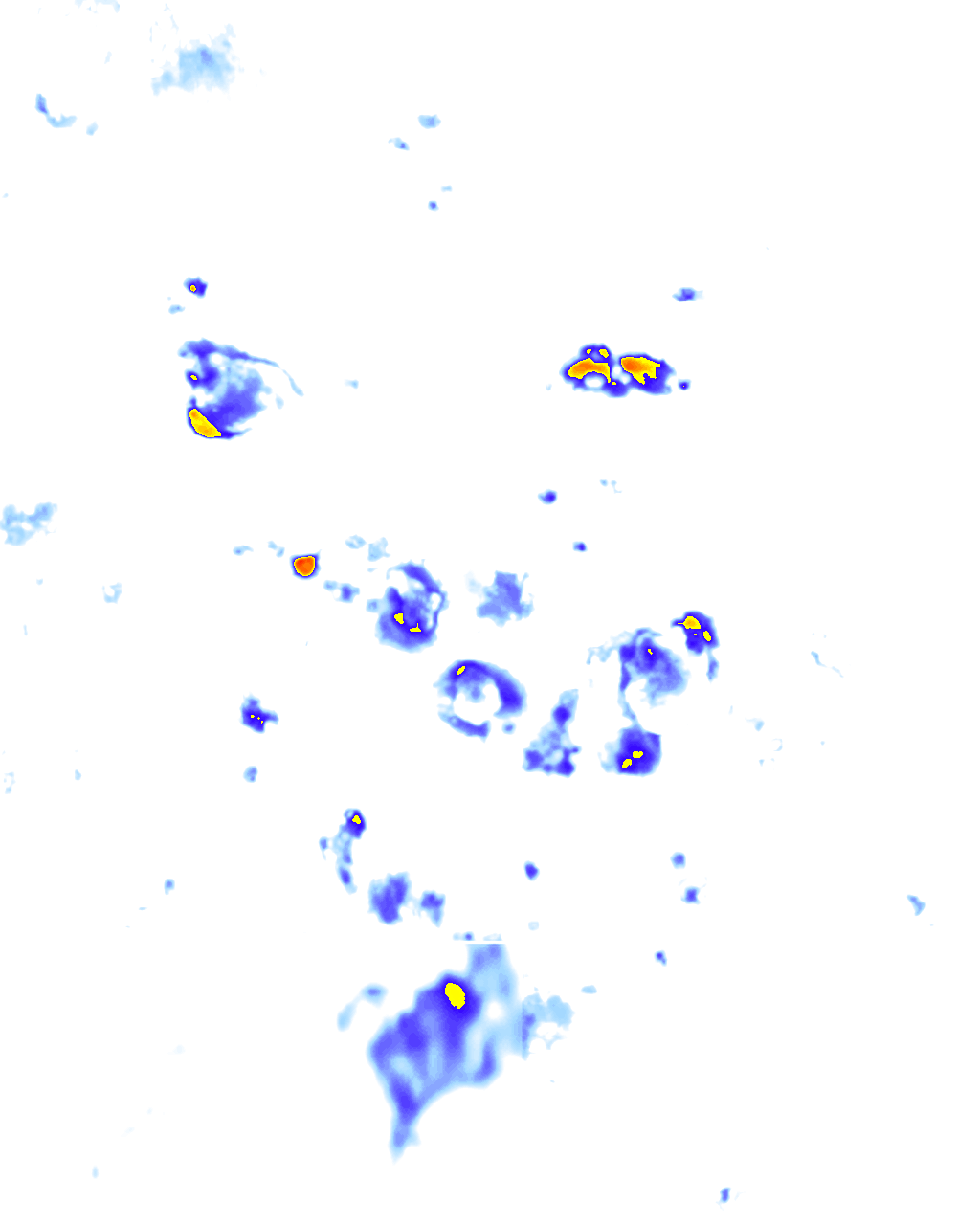 Image Layer