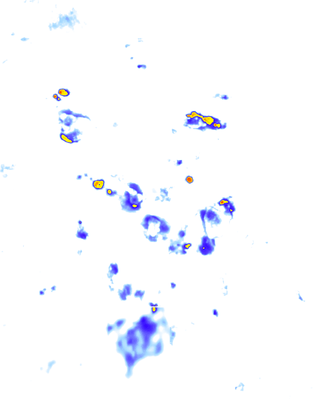 rainLayer
