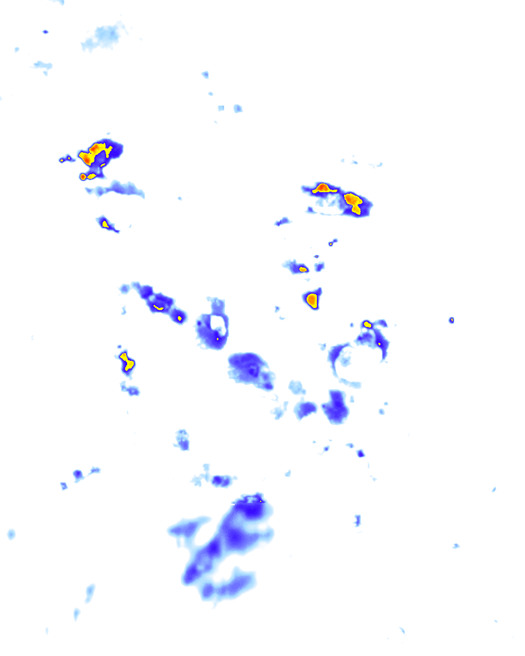 rainLayer
