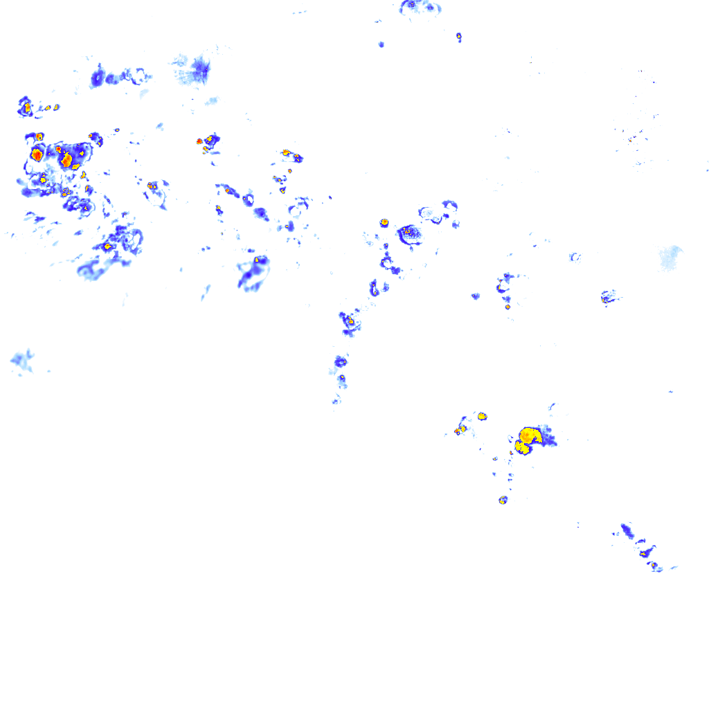 rainLayer