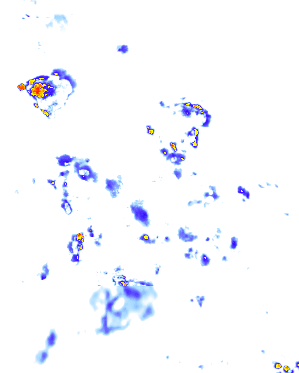 rainLayer