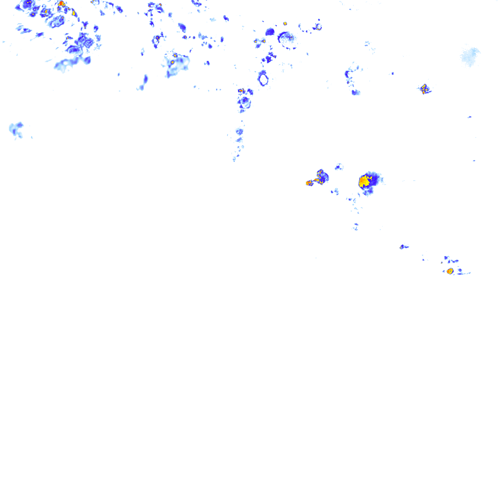 rainLayer