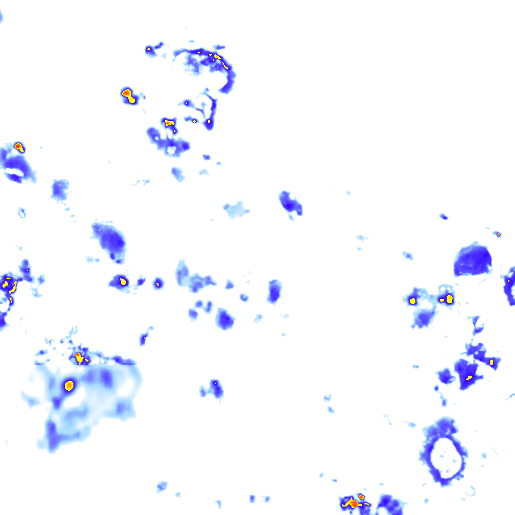 Image Layer