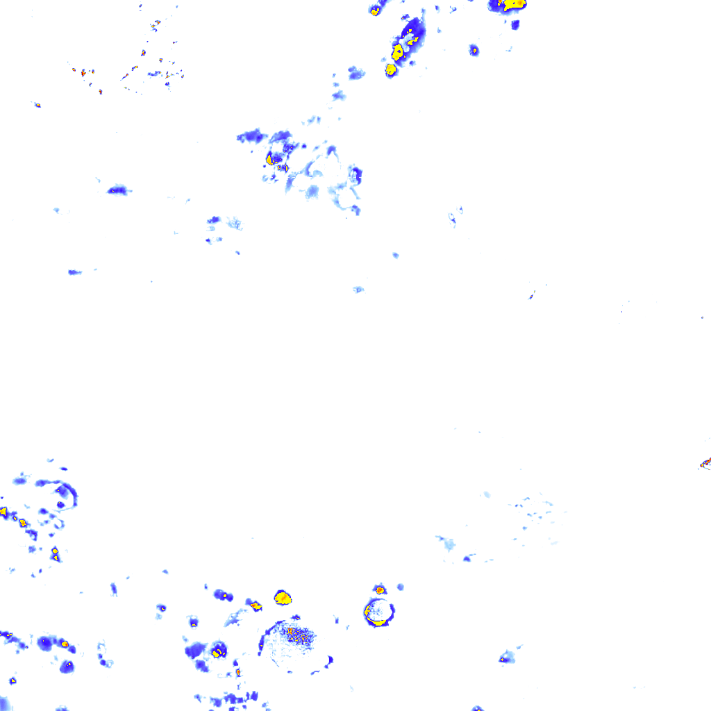 rainLayer