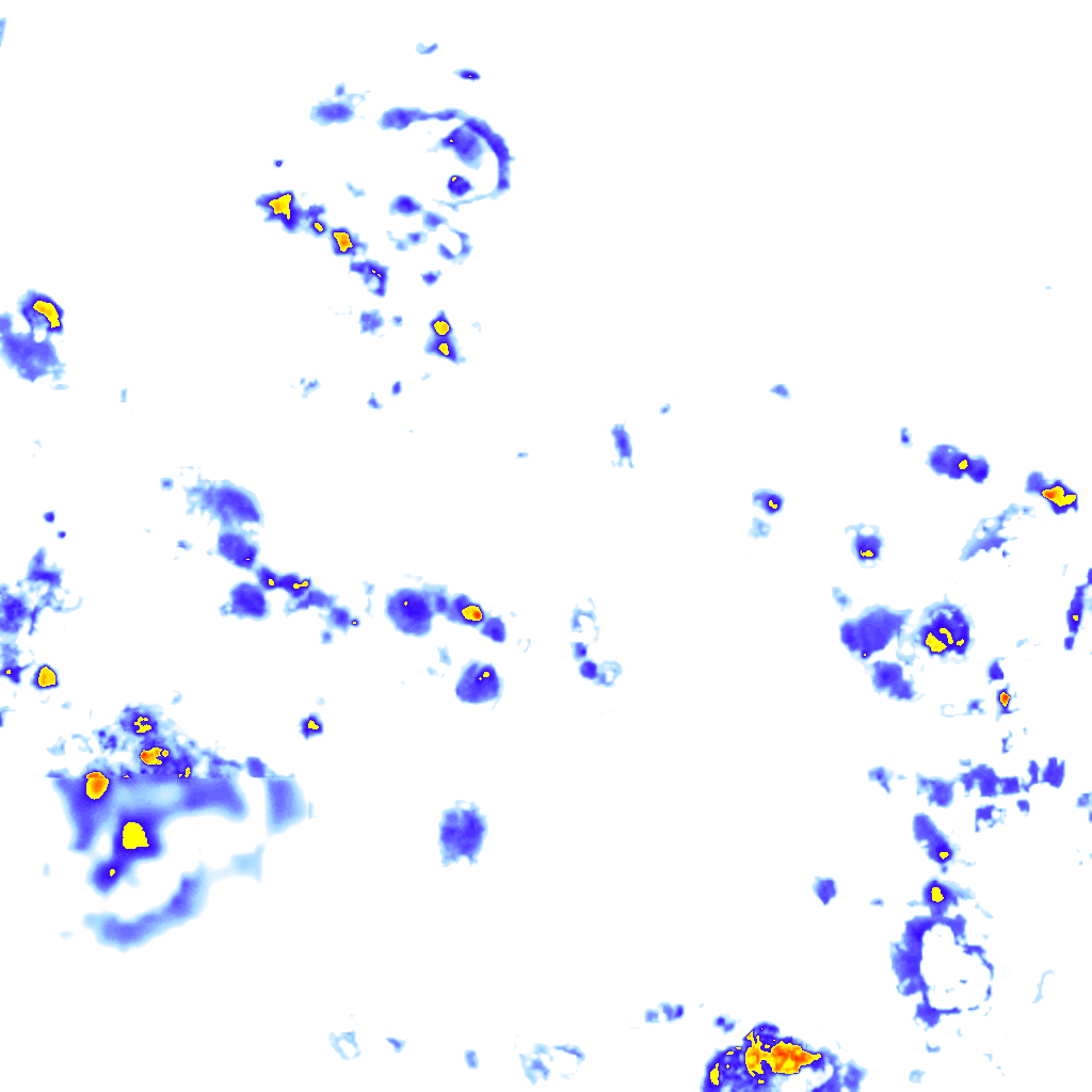 Image Layer