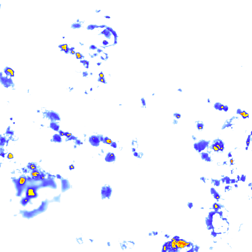 Image Layer