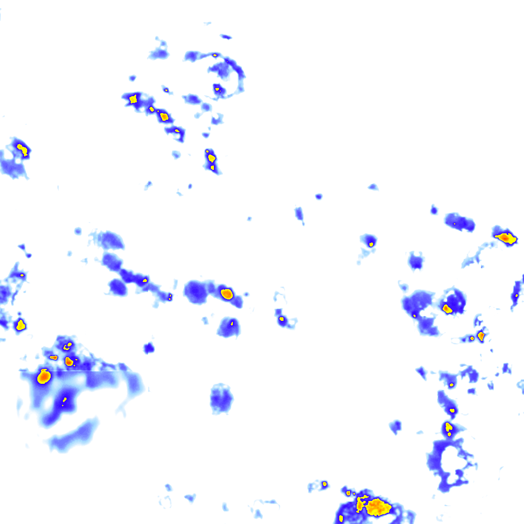 rainLayer